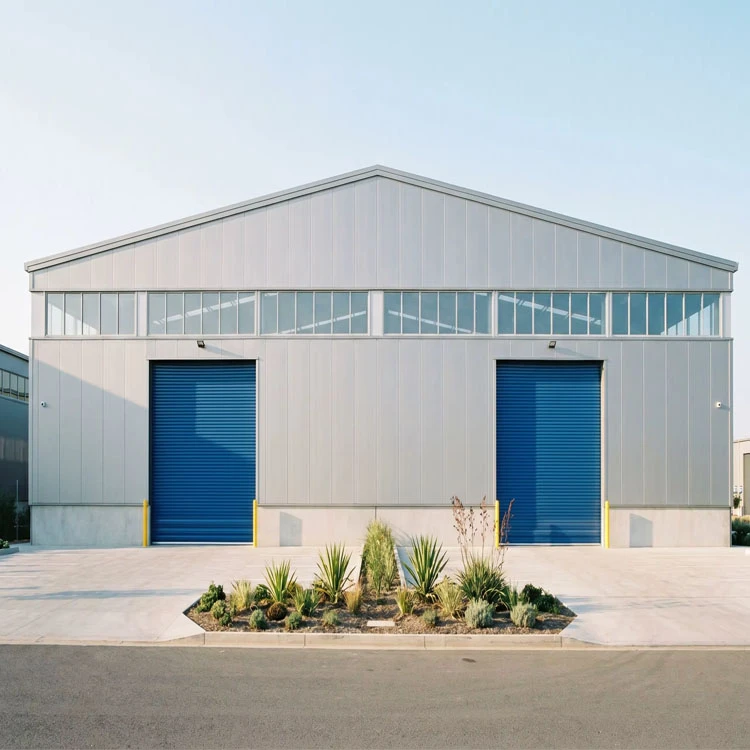 Steel Structure Heavy Industrial Plant